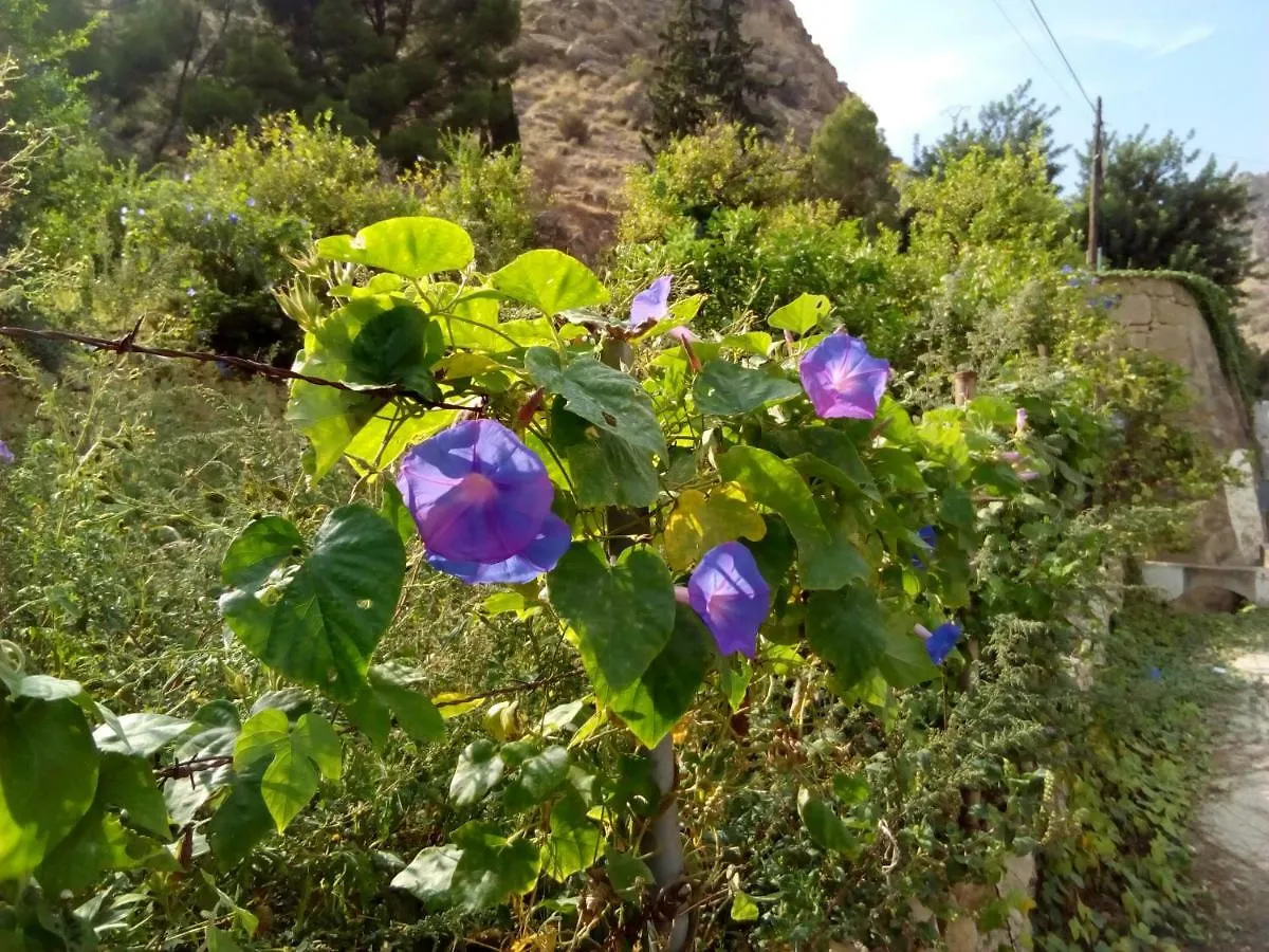 הוילה Ignaux Les Feiches Et Marguerites 0*,  צרפת